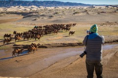 MG_1465-Gobi